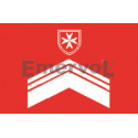 D.di F. Personale Abilitato BLSD PBLSD PTHC velcro cm 5x5