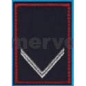 2V