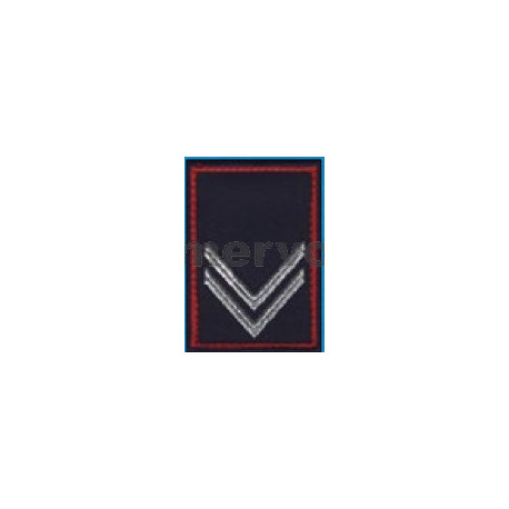1T