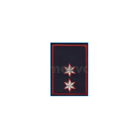1T