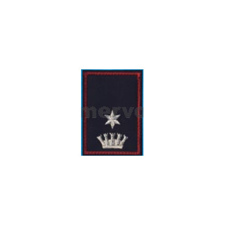 1T