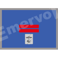 AGENTE SCELTO