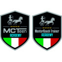 SCUDETTI